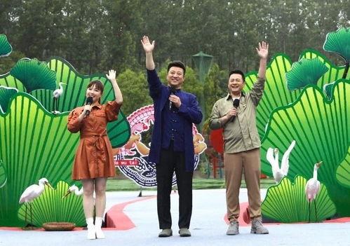 八哥最新爆料直播视频,最新爆料视频深度解析